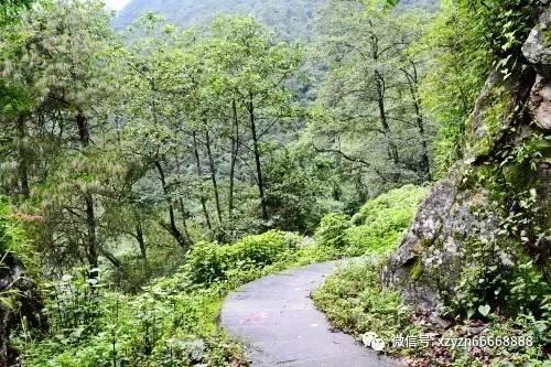 缅甸一军机在印度降落时滑出跑道 致8人受伤